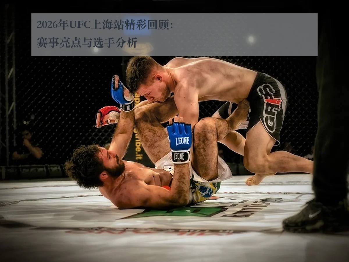 2026年UFC上海站精彩回顾：赛事亮点与选手分析
